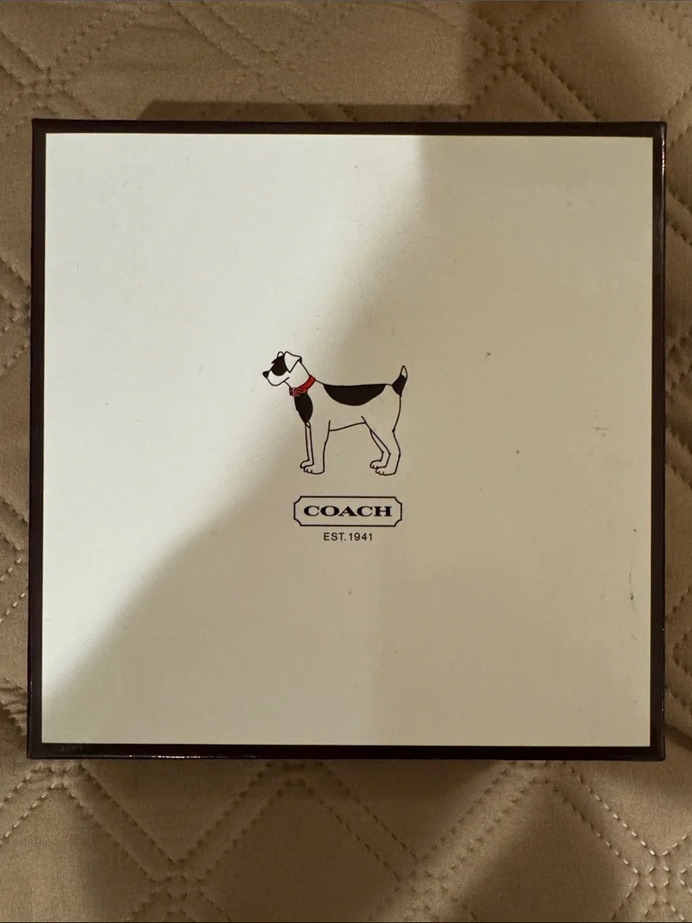 Coach genuine leather